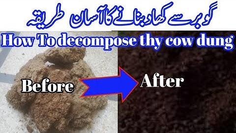 Gobar ki khad Bnane Ka Asan Treqa | How to decompose cow dung at home | Urdu, hindi |