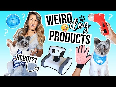 testing-weird-dog-products!-pet-gadgets-+-smart-home-robot-|-ariel-hamilton