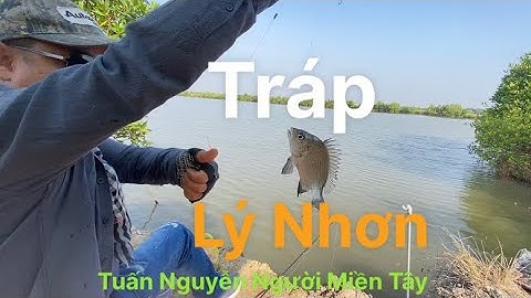 Câu cá thiên nhiên mùa nắng và gió ở lý Nhơn cần giờ…