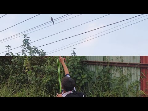 Video bắn ná cao su 3 thanh niên đi học về thay nhau bắn 1... - youtube