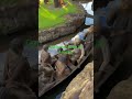 culture  of different  tribe in Africa