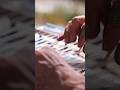 اردنا جنة نايف الزعبي 