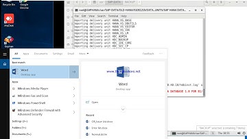 SAP Business One HANA INSTALLATION 9.3 AND UPGRADE PART 1