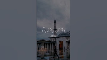 سورة العنكبوت #عبدالرحمن_مسعد #القران_الكريم #القرآن_الكريم #المغرب #السعودية