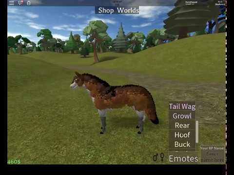 Roblox Horse World Irobux Group - roblox horse world join group