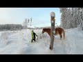 Hiking in snowy wilderness with horse