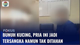 Pembunuh Kucing Jadi Tersangka, Mengaku Kesal Sering Ada Kotoran di Depan Rumahnya | Fokus