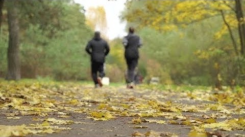 People Run in Autumn Park Forest | Stock Footage - Videohive
