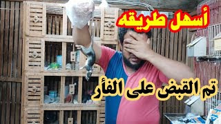 تم القضاء علي الفئران من المكان نهائي شوف عملنا إيه