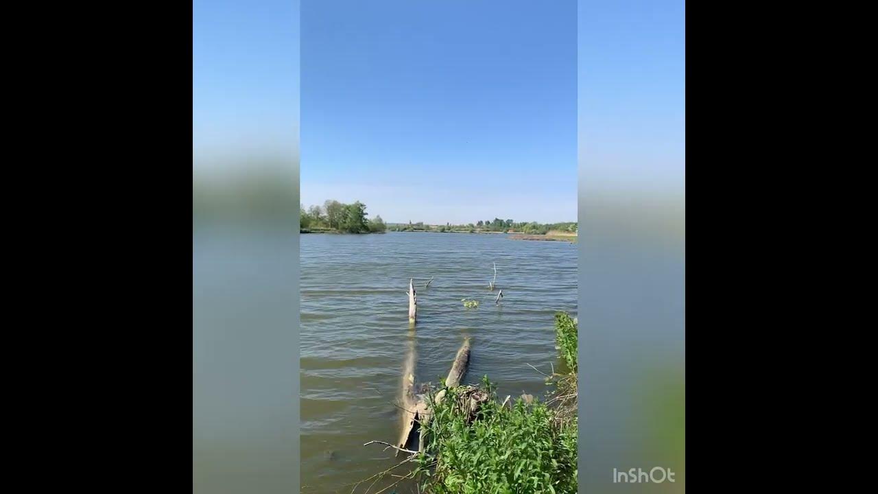 Réserve Naturelle Nationale des étangs du Romelaere Lison YouTube Réserve Naturelle Nationale des étangs du Romelaere Lison YouTube