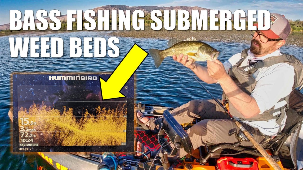 Bass Fishing Submerged Weed Beds YouTube