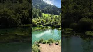 JEDNOM REČJU — RAJ. 🌿🏔️💧 #svetbiologije #nature #viral #priroda