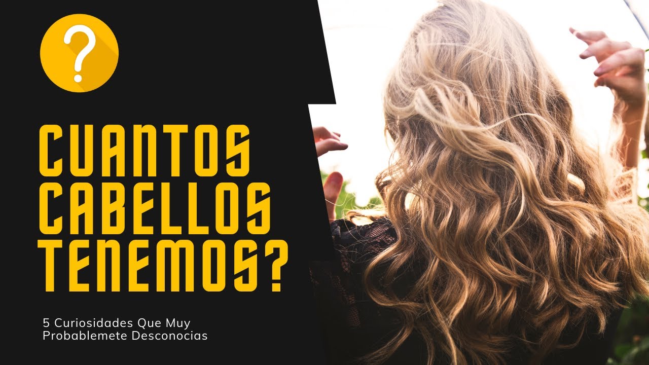 ¿Cuantos Cabellos Tiene UNA CABEZA Humana?5 Curiosidades Que Probablemente Desconocias Que ¿Cuantos Cabellos Tiene UNA CABEZA Humana?5 Curiosidades Que Probablemente Desconocias Que