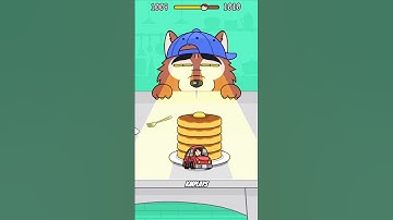 HIDE AND SEEK: CAT ESCAPE LVL 1009-1010 #catescapegame #catgames #cat #shorts