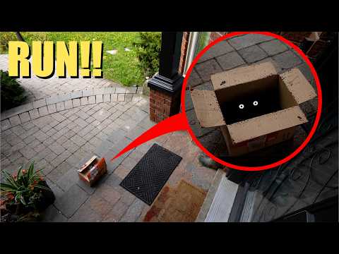 IF YOU SEE THIS BLOODY BOX AT YOUR DOORSTEP, RUN!!