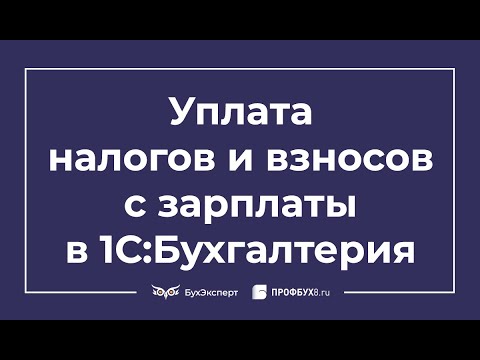 Уплата налогов и взносов с зарплаты в 1С 8.3 Бухгалтерия