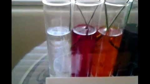 Science Experiment - Color Changing Carnations