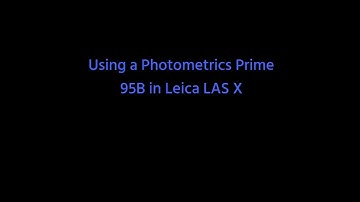 Running the Prime 95B in Leica LASX software