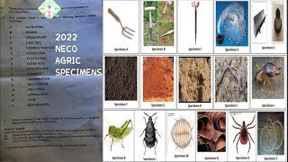 2022 NECO AGRIC SCIENCE PRACTICAL SPECIMENS CONFIRMED!