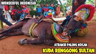 Kuda Renggong || Atraksi Kuda Renggong Sultan vs Bah Adang  Kocak Banget