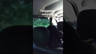 #tenggarongseberang #azalianurkamila #kaltim #indonesia #syifa'ulqulub #desatanjungbatu #brebes