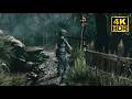 Resident Evil HD Remaster HDR Gameplay 4K 60FPS RTX Resident Evil HD Remaster HDR Gameplay 4K 60FPS RTX