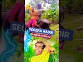 FTV SEGERA DI ES CE TE PE 