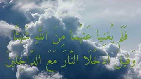 القارئ عبدالرحمن الدوادية