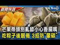 【TVBS健康單元】蒂頭別亂舔 老一輩喊芒果有毒原來是... 吃粽子後睏倦 營養師教3招防「暈碳」｜TVBS新聞20260616 @TVBSNEWS01