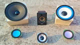 Found a Powerful Woofer in the Jungle – The Massive Boom Shocked Me!