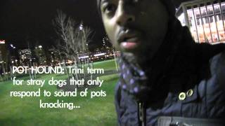 Trinis First Ny Dog Walk