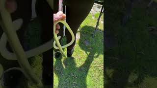 Snake Prank Credit Tkmfamilia