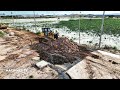 New Project Skilled Operator Bulldozer Making Road Foundation in Borey House Dozer Moving Dirt