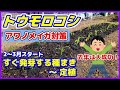 【トウモロコシ】去年は大成功！アワノメイガ対策で今年も早まき栽培／すぐ発芽する種まき～定植／とうもろこしの促成栽培／催芽まきの凄さ／家庭で簡単に出来る保温方法／ミラクルゴールド／害虫対策／家庭菜園