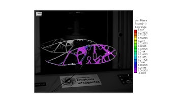 Morphing wing based compliance topology optimisation