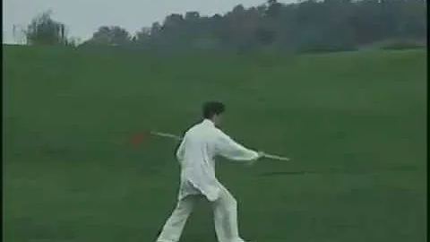 Chen Zhenglei - Chen Tai Chi Spear