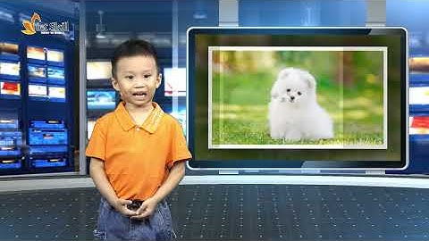 MC MINH NHẬT - KHÓA MC NHÍ GIAO TIẾP TỰ TIN N318 VIETSKILL - THỰC HÀNH GHI HÌNH TRƯỜNG QUAY