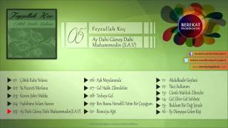 Ay Dahi Güneş Dahi Muhammedin (S.a.v) - Feyzullah Koç