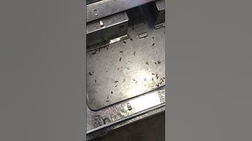 Mouse Problem?  Best Humane No-Kill Mouse Trap! #Shorts #YouNeedThis