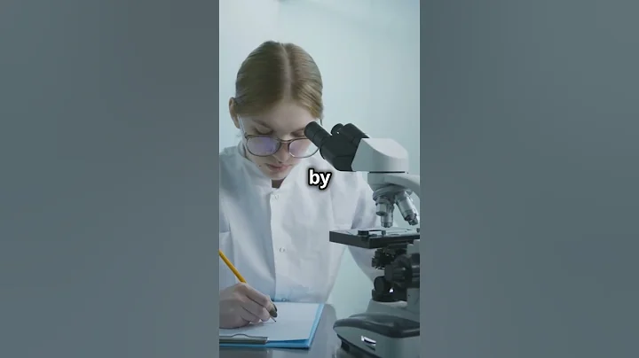 Water Bears, The Ultimate Space Survivors! 💧🧸