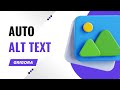 Automatically Generate ALT TEXT in Seconds