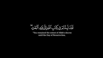كرومة شاشة سوداء بصوت الشيخ #ماهر_المعيقلي #سورة_الروم