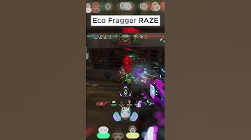 RAZE ACE with JUDGE 😁🤫✌️