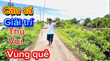 Câu cá thòi lòi ở vùng quê/ rất vui thú vị lắm