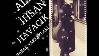 Ali Ihsan Havacık 2017 Hazan Yaprakları Resimi