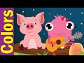 Pink Objects Quiz