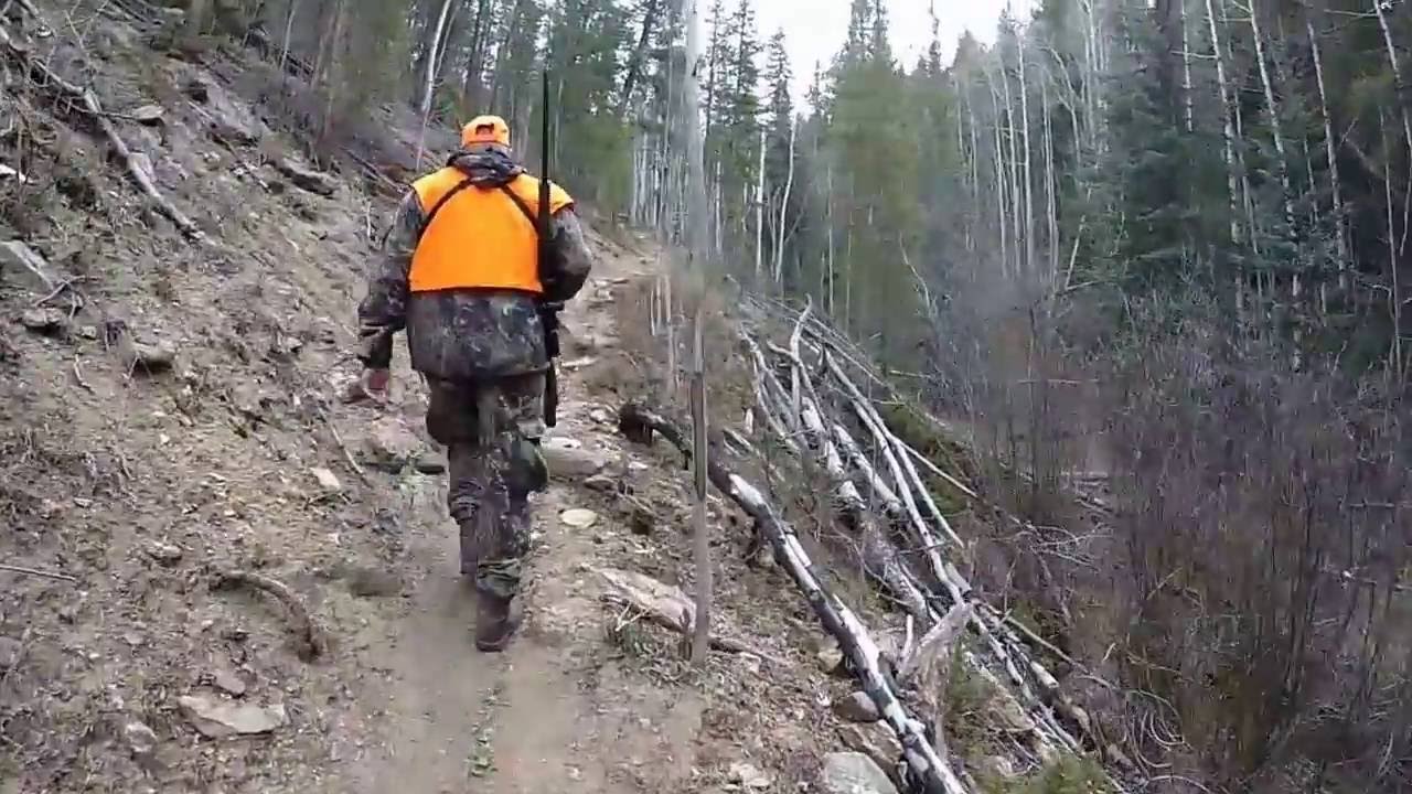 Elk Hunting 2016, Gunnison, CO 