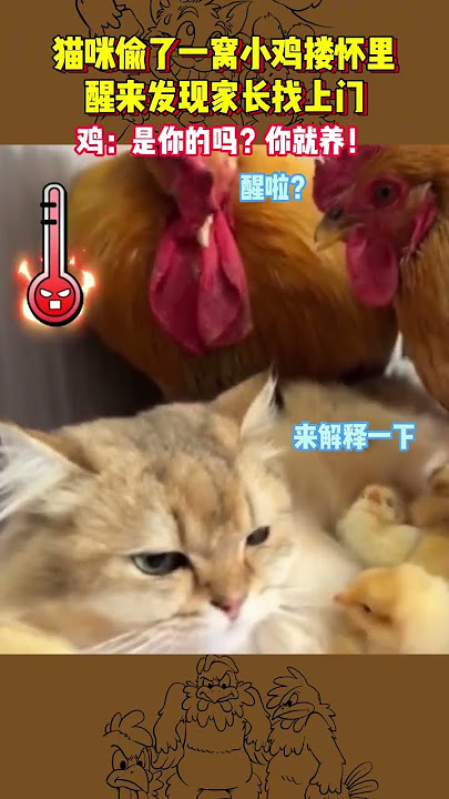 I said I'll see the cat for you, will you believe it? Cats? Cats' confusing behavior? What bad i