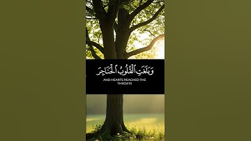 القران الكريم ياسر الدوسري صوت عذب #القرآن_الكريم #اكسبلور #المصحف #القرآن #duet