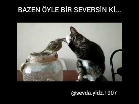 Bazen öyle seversin ki deymeye kıyamasın